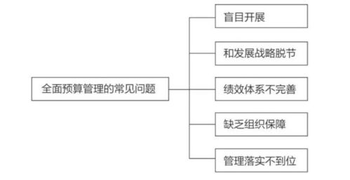 运营管理题库，运营管理高效化挑战！破解99个难题让你的团队提升50%!！