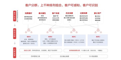 精准引流获客，激活你的未来！精准获客策略，让你瞬间拥有更多客户!！