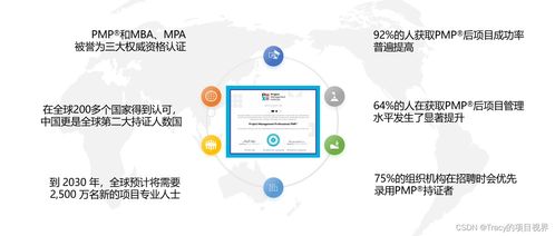 项目管理pmp，项目管理高效之道：掌握PMP技能打造卓越成果!！