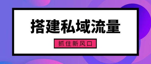 私域运营每天都做什么私域运营每天都做什么？